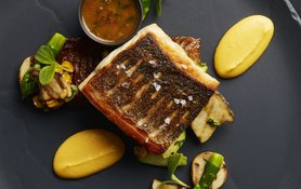 Grilled Fillet of Sea Bass